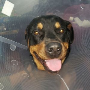 Meet your Posher, Andrea